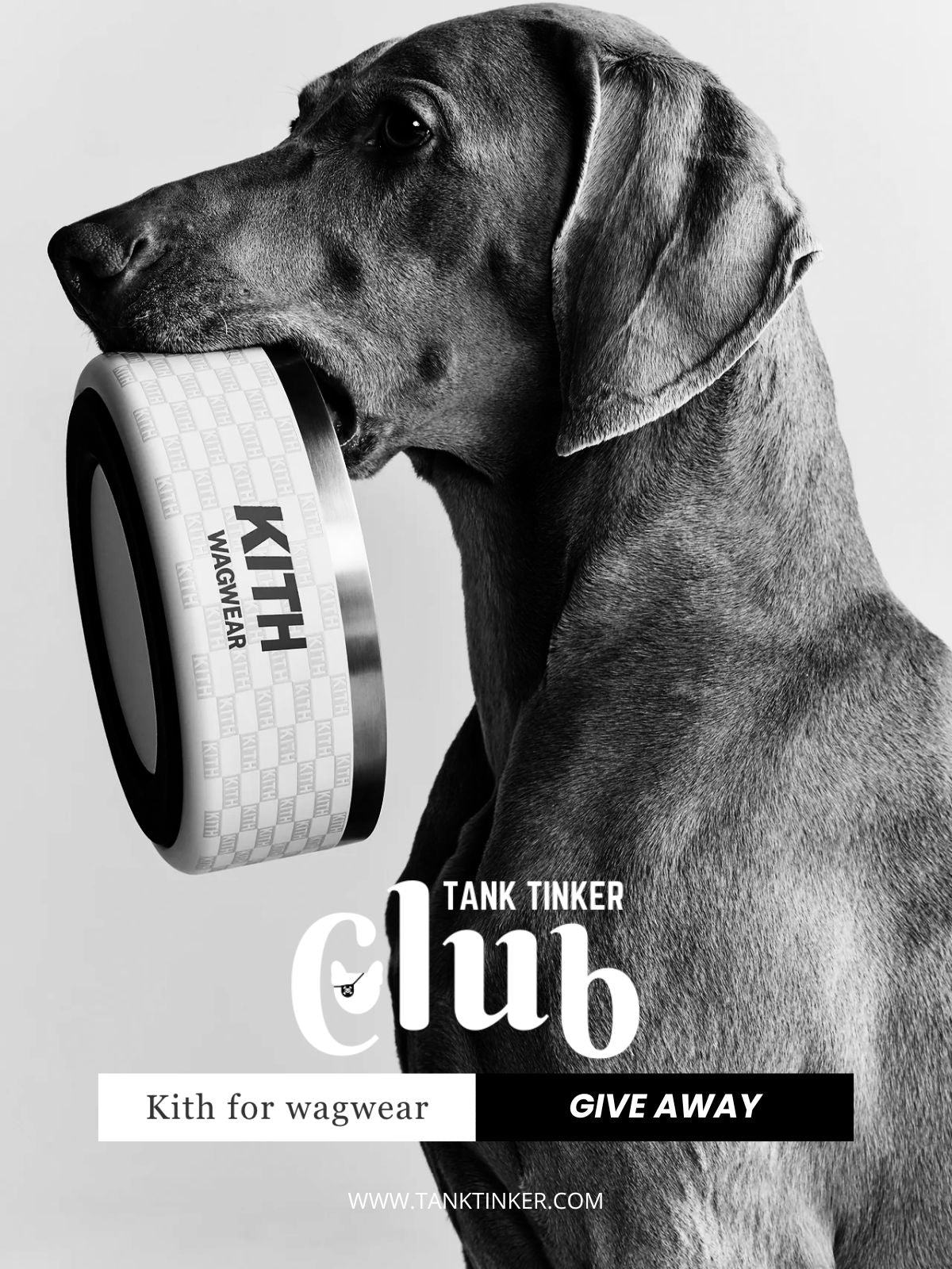 LUCKY RECEIPT BY TANK TINKER CLUB