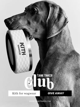 LUCKY RECEIPT BY TANK TINKER CLUB