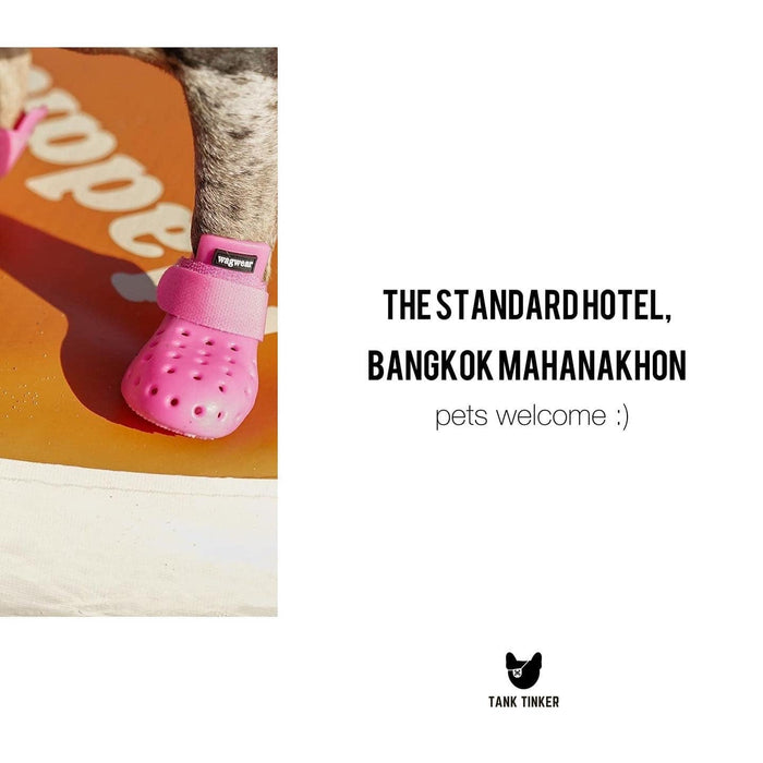 wagwear x The Standard Bangkok