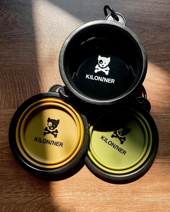 ปริมาณความต้องการน้ำของสุนัขแต่ละชั่วโมง