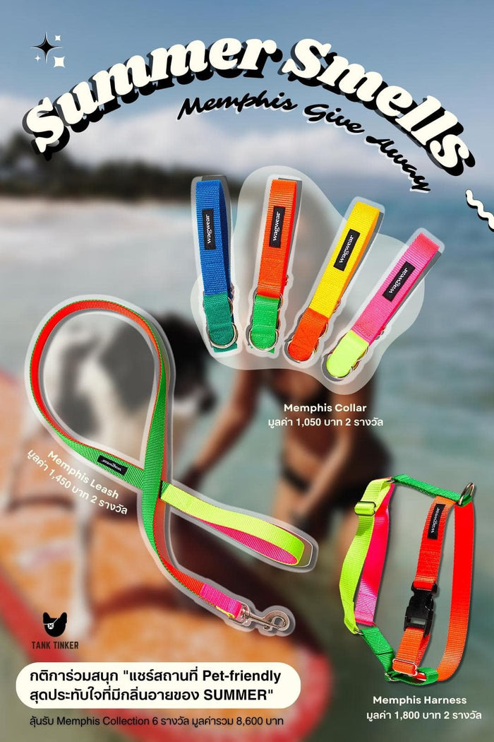 TANK TINKER แคมเปญ SUMMER SMELLS