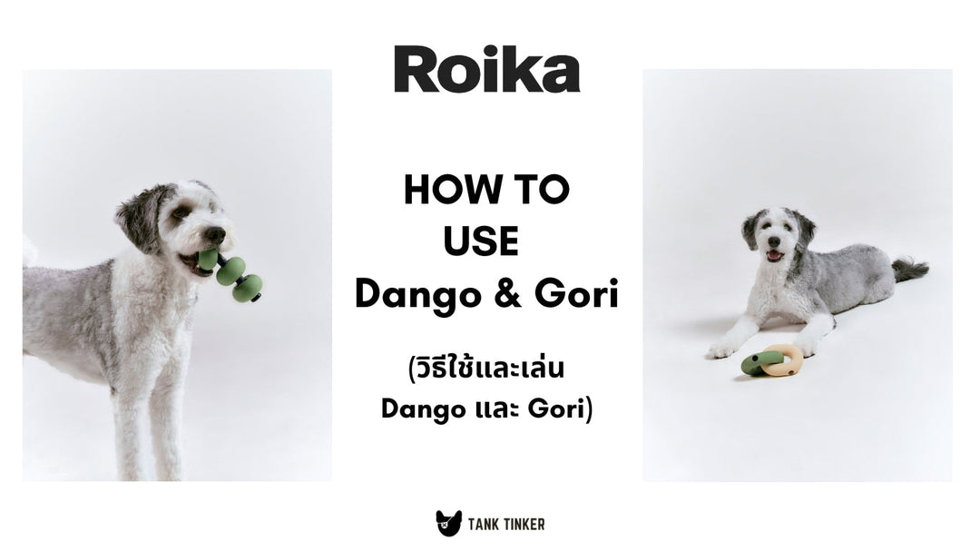 How to use Dango and Gori | Roika - Nose Work Dog Toy  (วิธีใช้และเล่นของเล่นฝึกทักษะสุนัข Dango และ Gori แบรนด์ Roika)