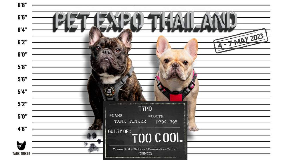 PET EXPO THAILAND 2023 (4-7 MAY 2023)