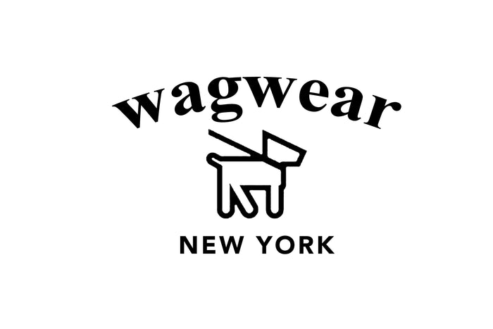 ทำความรู้จักกับแบรนด์ wagwear