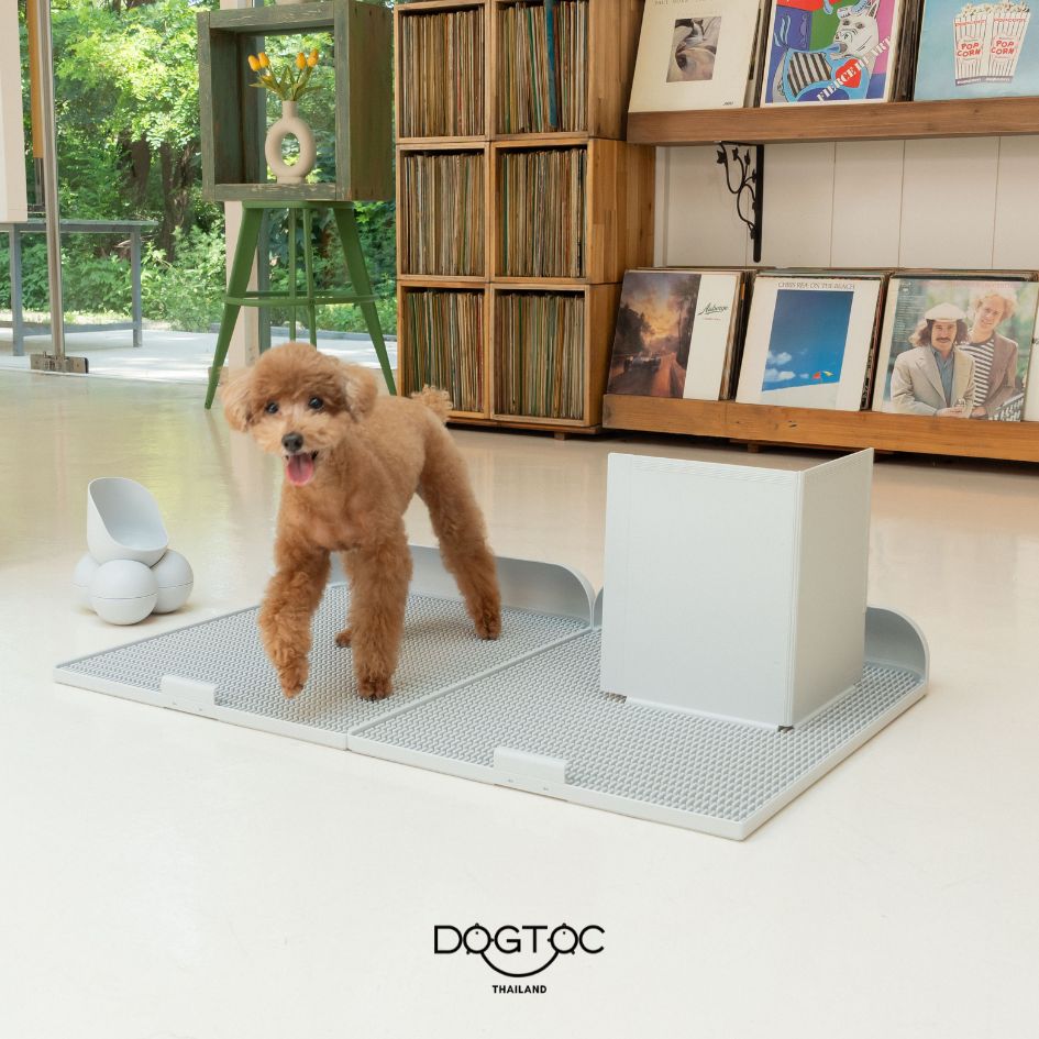 DOGTOC | NO.1 DOG TOILET