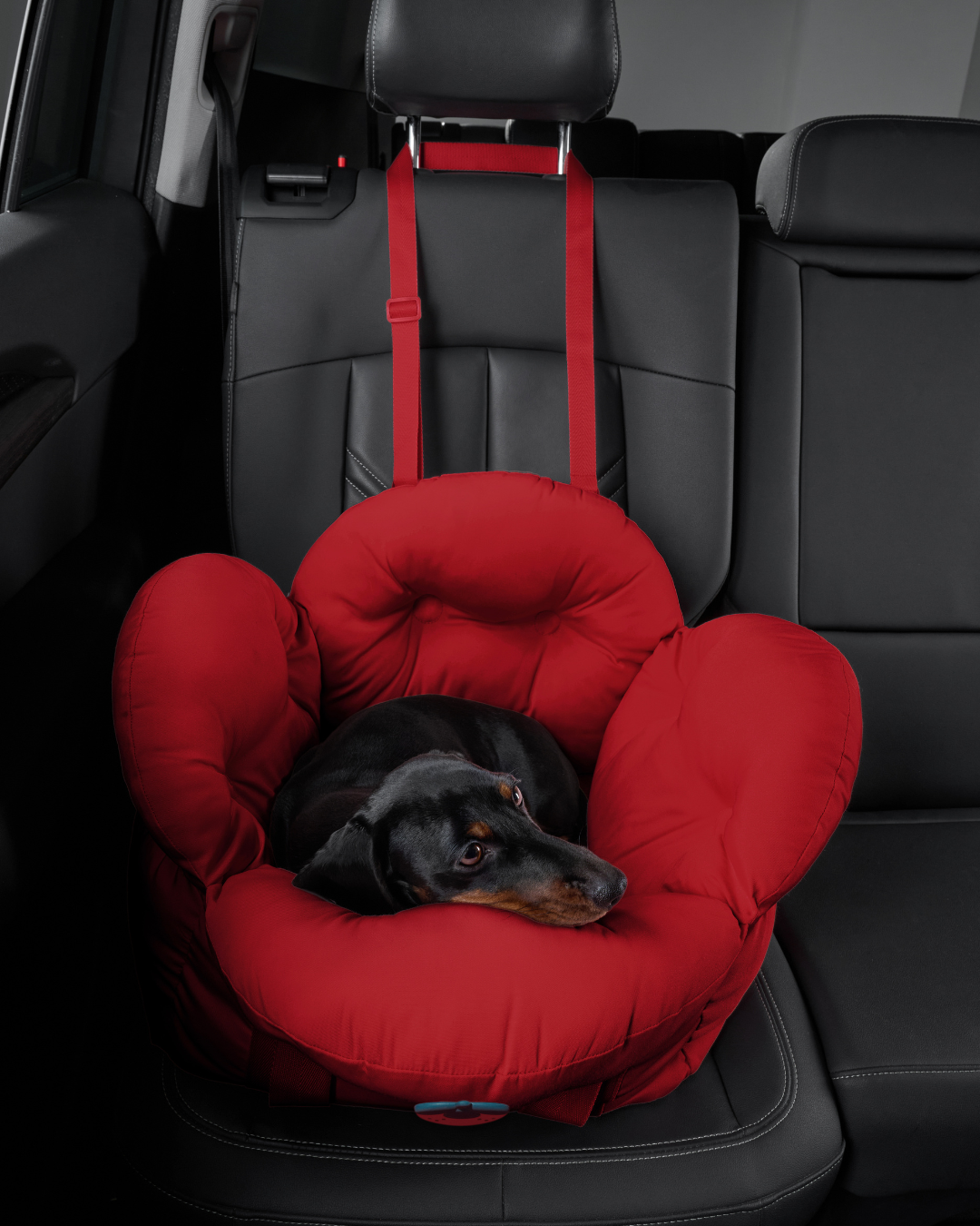Strawberry Car Seat Pet Carrier - TANK TINKER