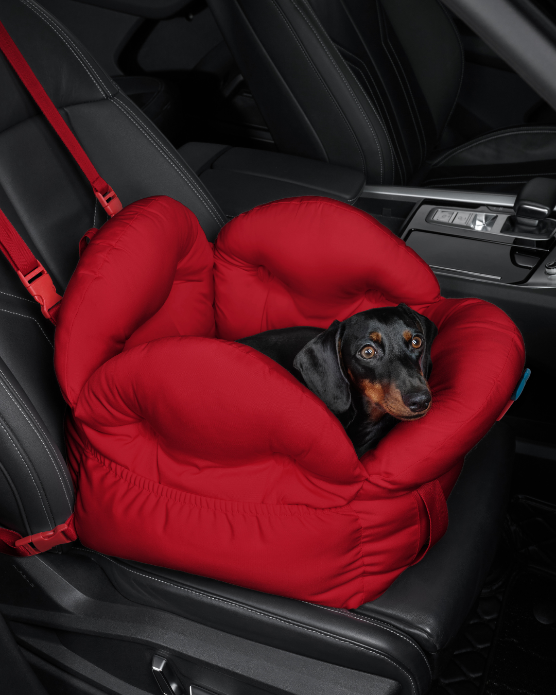 Strawberry Car Seat Pet Carrier - TANK TINKER