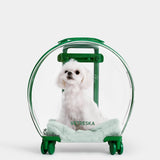 Bubble Pet Carrier (Green & Transparent) - TANK TINKER