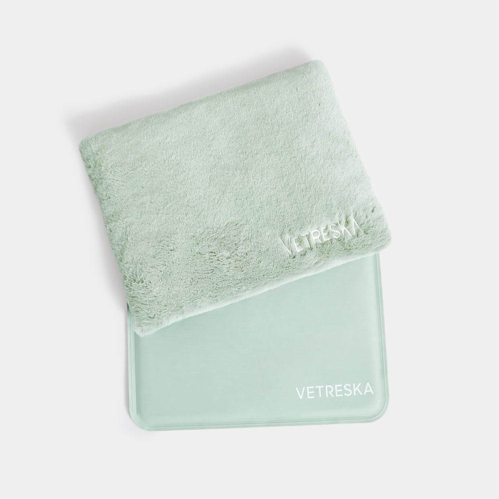 Bubble Pet Carrier (Green Color Block) - TANK TINKER