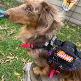 SPICY SAUSAGE - Morale Patch - TANK TINKER