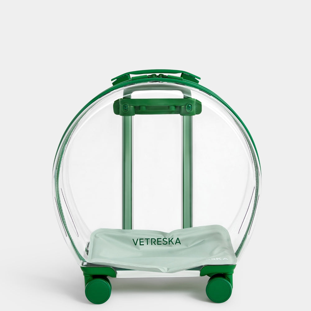 Bubble Pet Carrier (Green & Transparent) - TANK TINKER