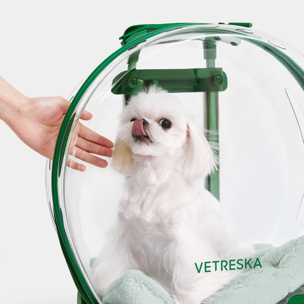 Bubble Pet Carrier (Green & Transparent) - TANK TINKER