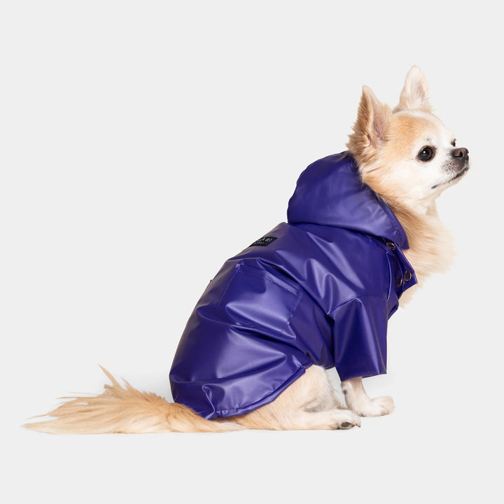 Perini Dog Raincoat - TANK TINKER