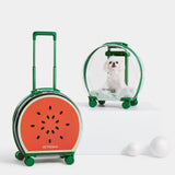 Bubble Pet Carrier (Green Color Block) - TANK TINKER