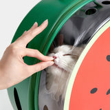 Bubble Pet Carrier (Green Color Block) - TANK TINKER