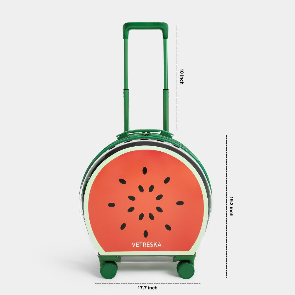 Bubble Pet Carrier (Green Color Block) - TANK TINKER