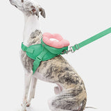 Flora Backpack & Harness 3 in 1 Set - TANK TINKER