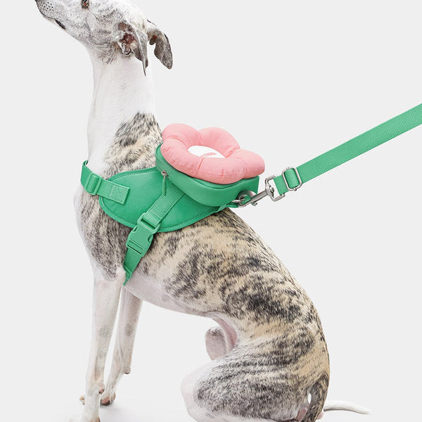 Flora Backpack & Harness 3 in 1 Set - TANK TINKER