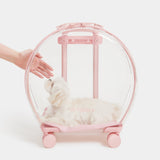 Bubble Pet Carrier (Pink & Transparent) - TANK TINKER