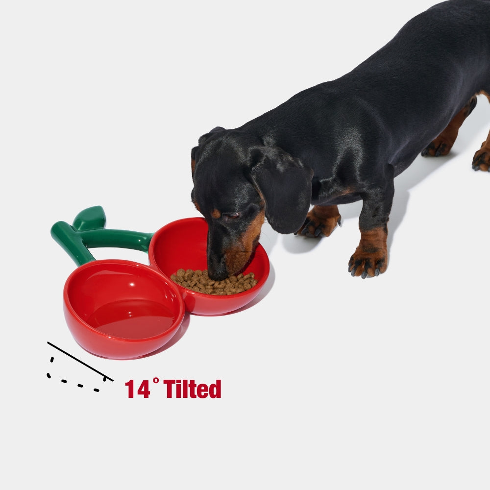 Cherry Ceramic Pet Bowl - TANK TINKER