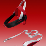 Ollie Bearman Circuit Collection - Quick Fit Pet Harness & Leash Set - TANK TINKER