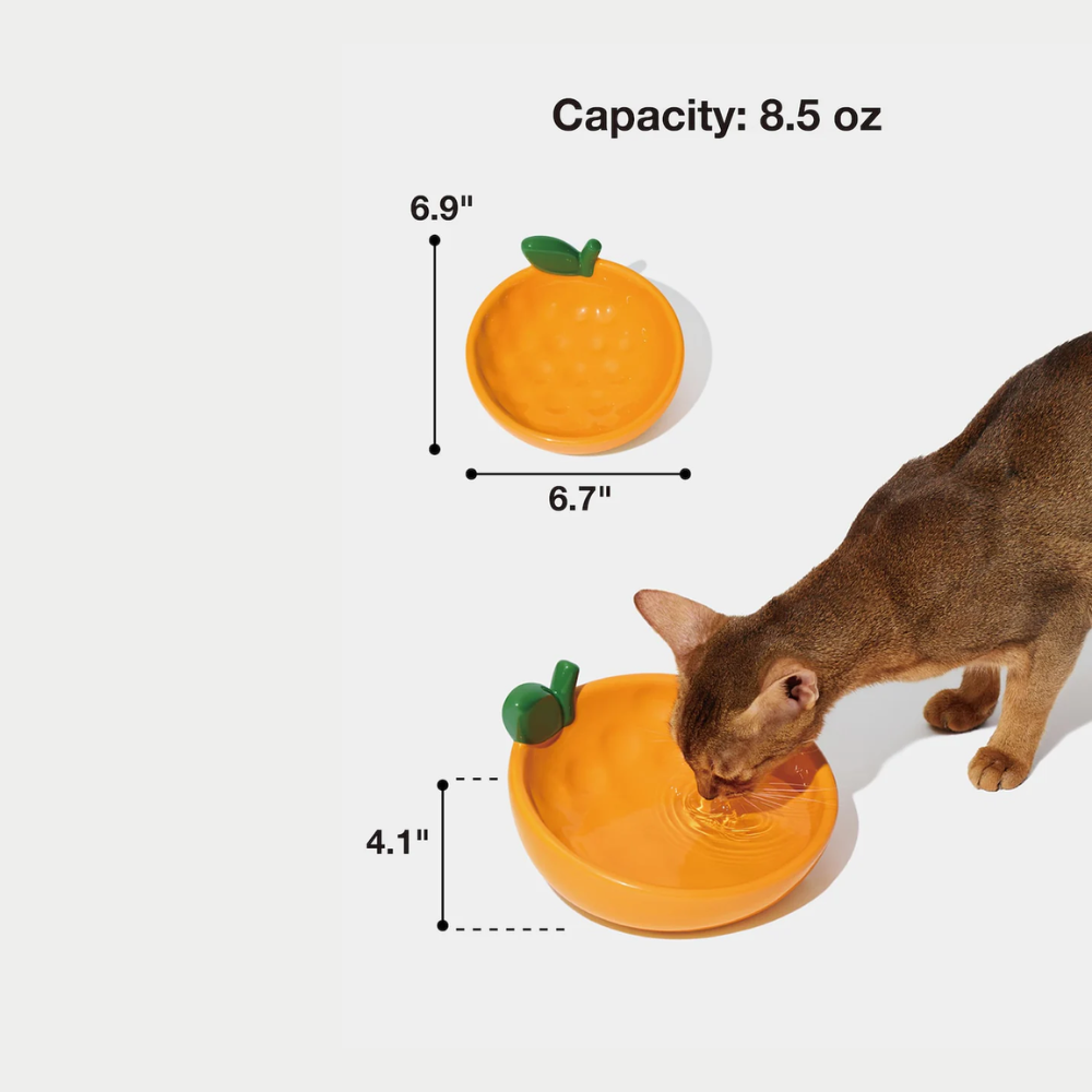 Tangerine Ceramic Pet Bowl - TANK TINKER