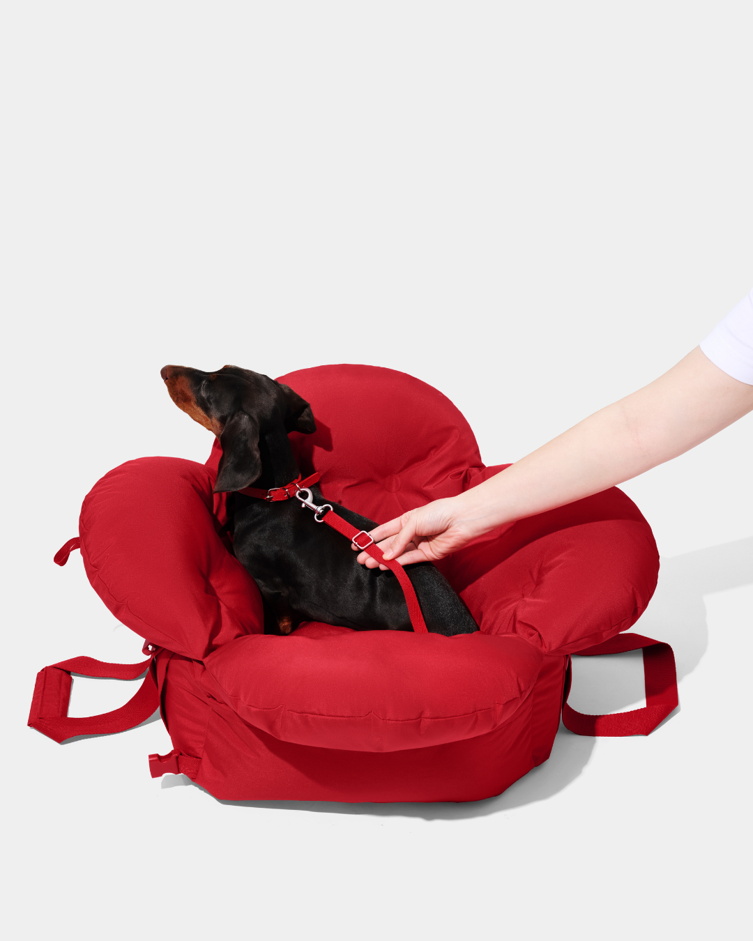 Strawberry Car Seat Pet Carrier - TANK TINKER