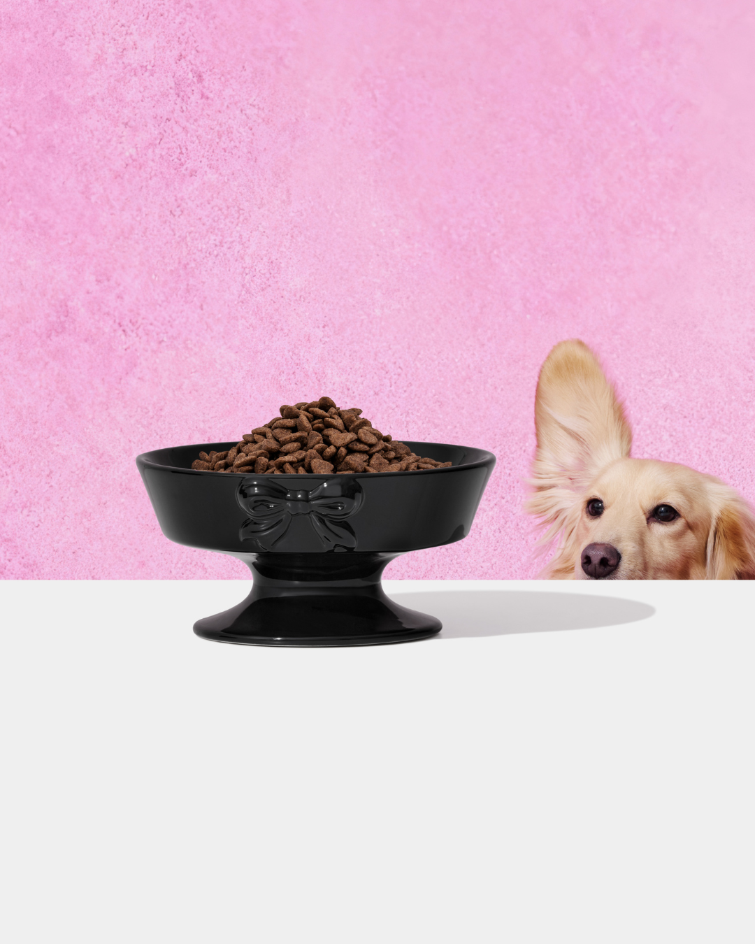 Bow de Noir Ceramic Pet Bowl - TANK TINKER