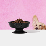 Bow de Noir Ceramic Pet Bowl - TANK TINKER