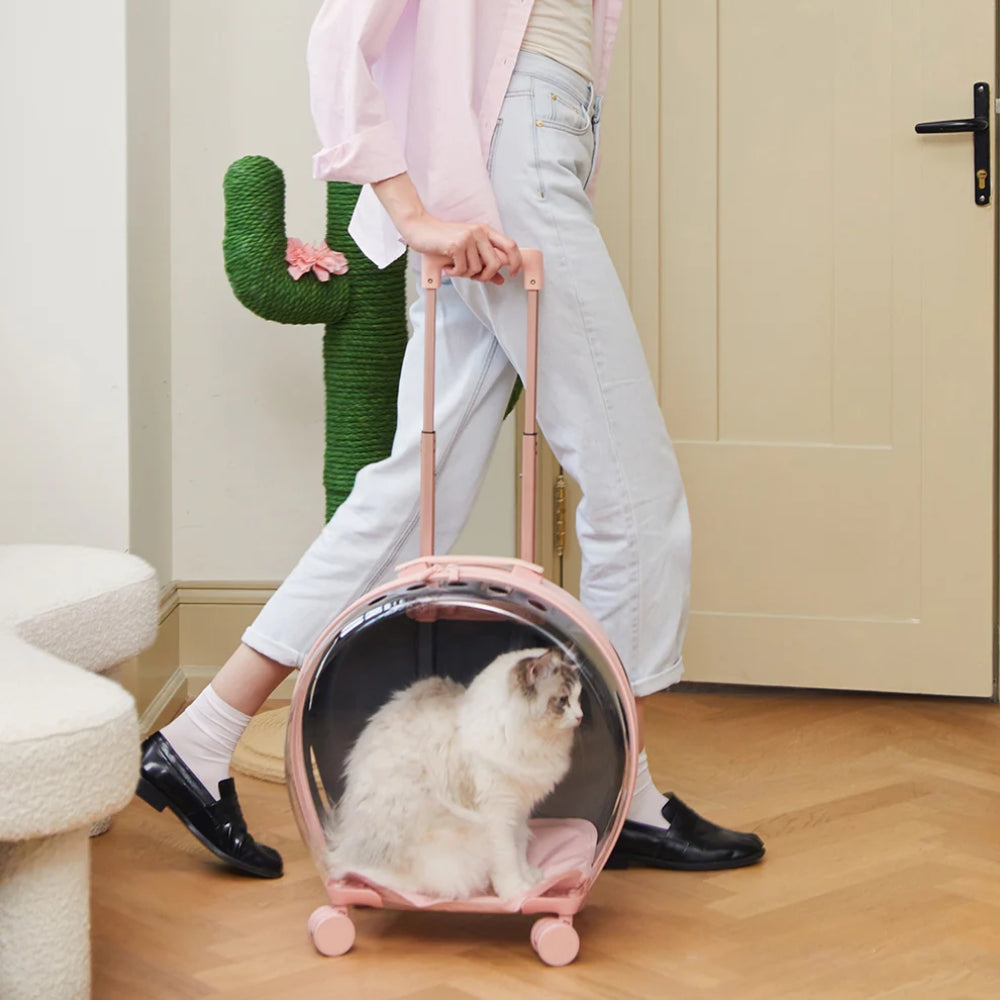 Bubble Pet Carrier (Pink & Transparent) - TANK TINKER
