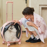 Bubble Pet Carrier (Pink & Transparent) - TANK TINKER