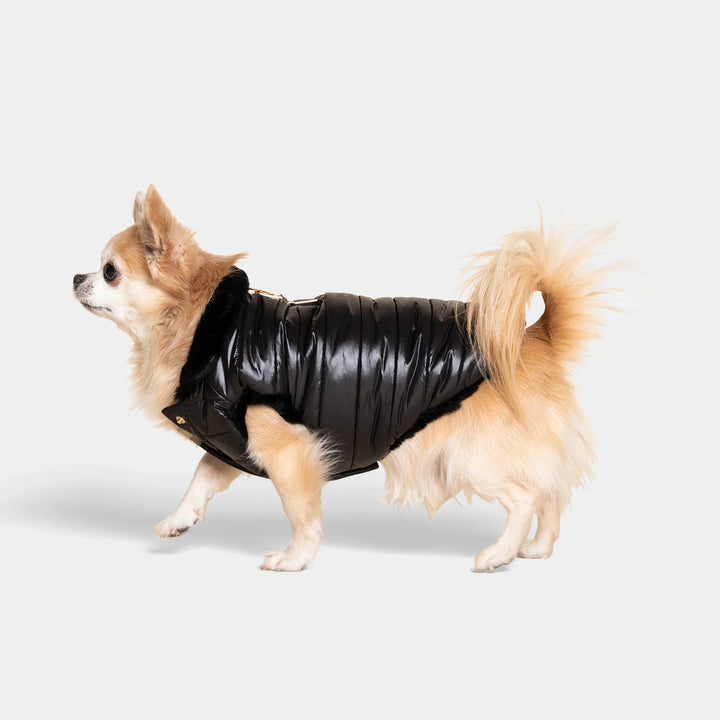 Cecchetti Dog Puffer Jacket - TANK TINKER