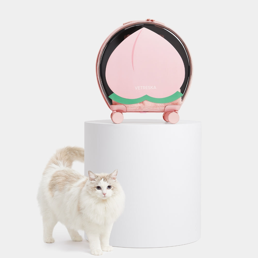 Bubble Pet Carrier (Pink Color Block) - TANK TINKER