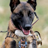 FUR MISSILE - Morale Patch - TANK TINKER