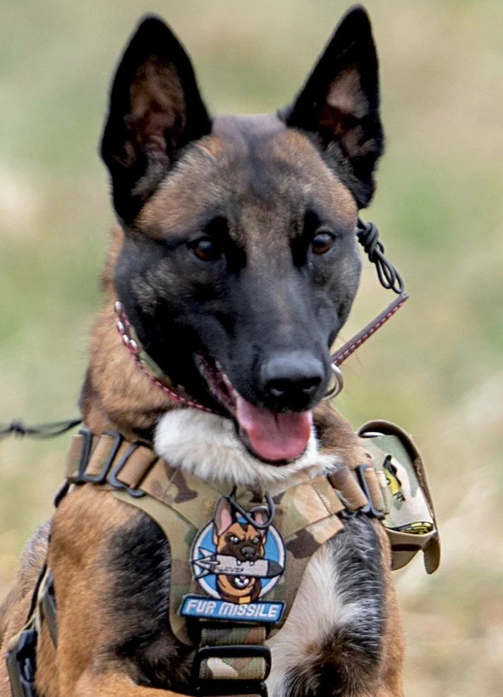 FUR MISSILE - Morale Patch - TANK TINKER