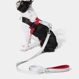 Ollie Bearman Circuit Collection - Quick Fit Pet Harness & Leash Set - TANK TINKER