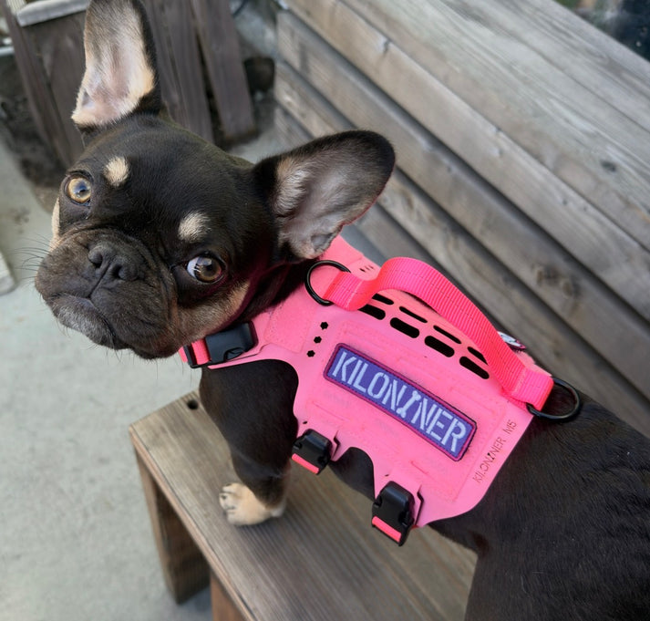 KILONINER STENCIL PINK PURPLE - Morale Patch - TANK TINKER