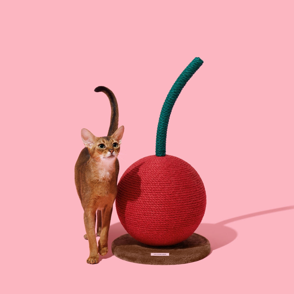 Cherry Cat Scratching Ball - TANK TINKER