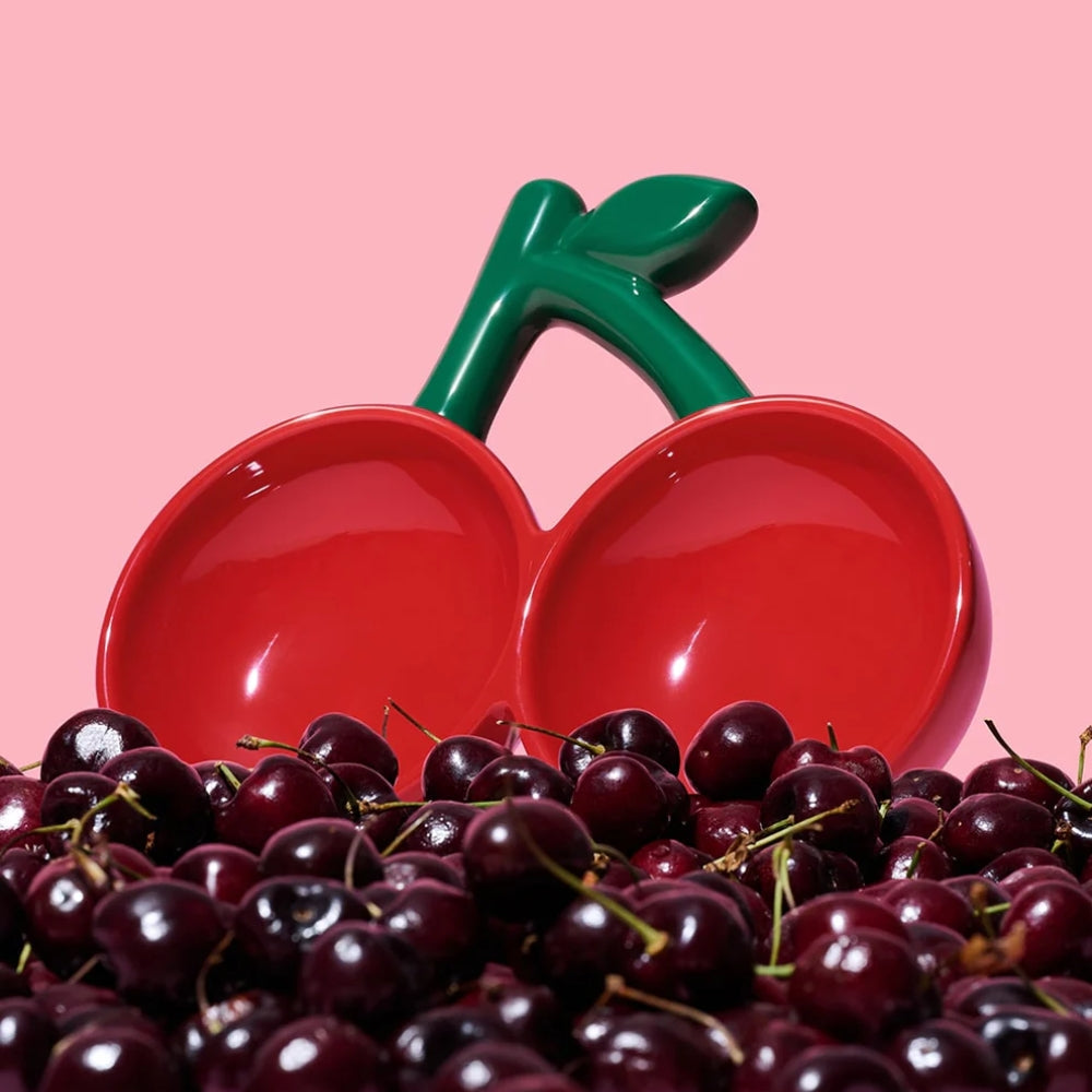 Cherry Ceramic Pet Bowl - TANK TINKER