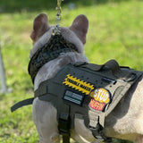 STUD MUFFIN - Morale Patch - TANK TINKER