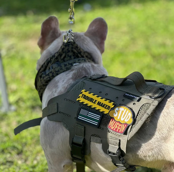 STUD MUFFIN - Morale Patch - TANK TINKER