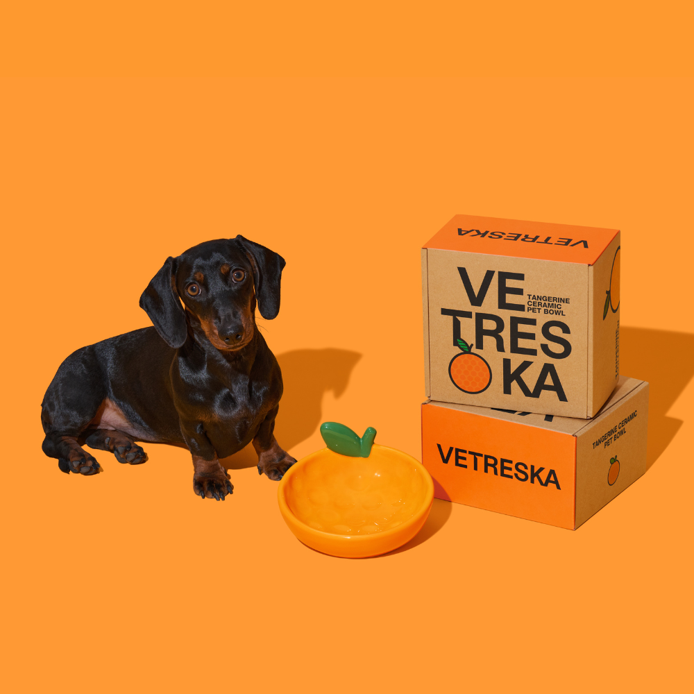 Tangerine Ceramic Pet Bowl - TANK TINKER