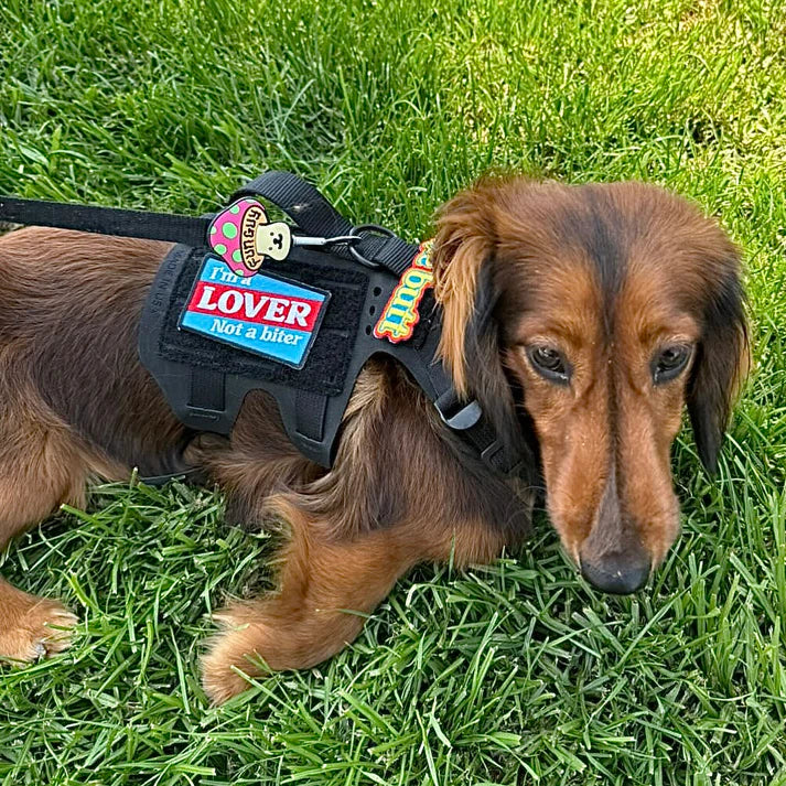 I'M A LOVER NOT A BITER - Morale Patch - TANK TINKER