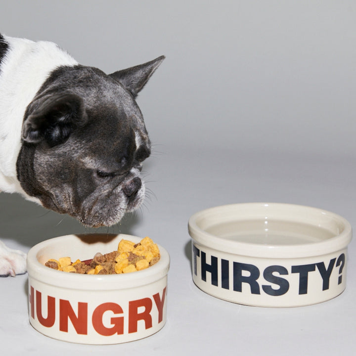 Hungry? Thirsty? Bowls - TANK TINKER