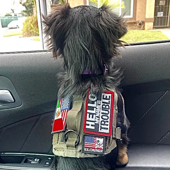 NAME TROUBLE - Morale Patch - TANK TINKER