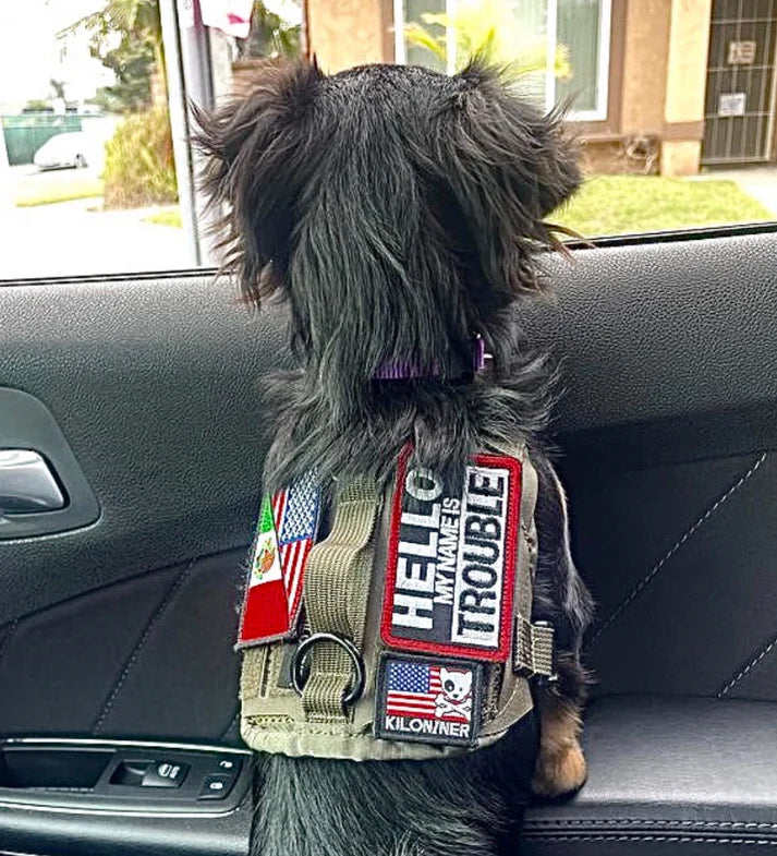 NAME TROUBLE - Morale Patch - TANK TINKER