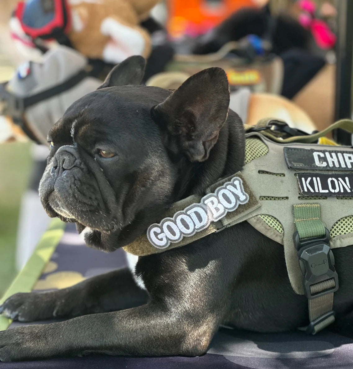 Good Boy Morale Patch - TANK TINKER