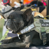 Good Boy Morale Patch - TANK TINKER