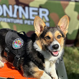 MINI CORGI SQUAD - Morale Patch - TANK TINKER