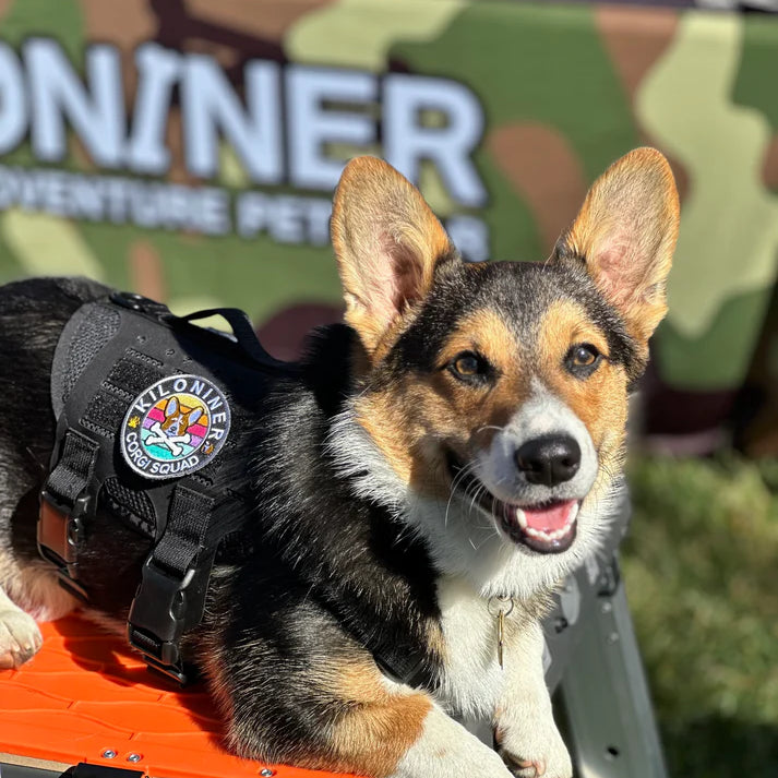 MINI CORGI SQUAD - Morale Patch - TANK TINKER